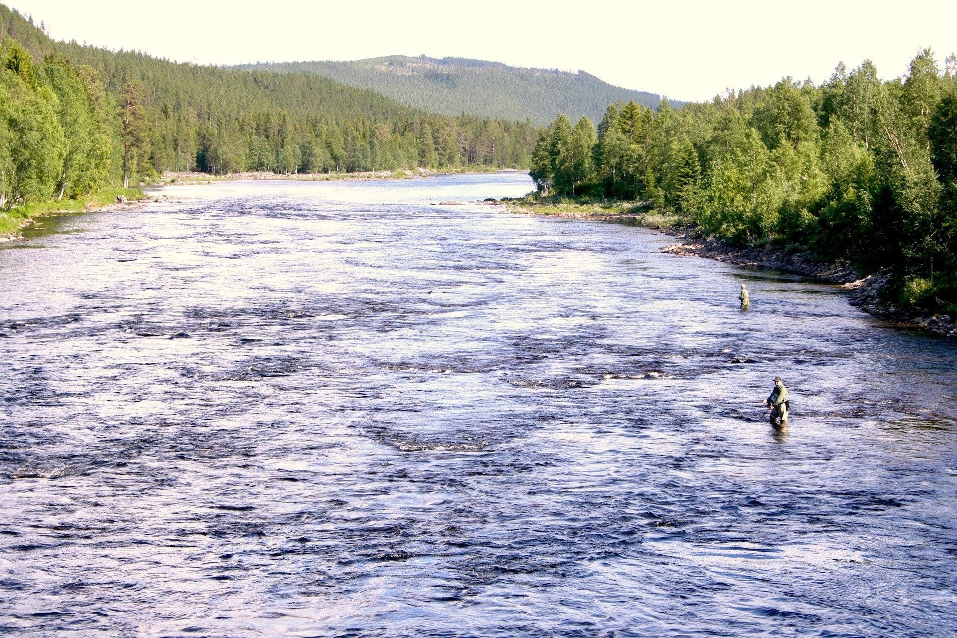 Drömfiske i Toskströmmen. Foto © Hotagenkortet.