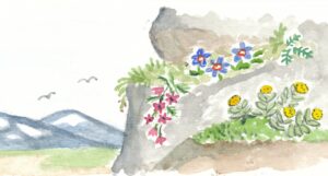 Blomsterstation Klippbranten. Illustration av Rut Magnusson.